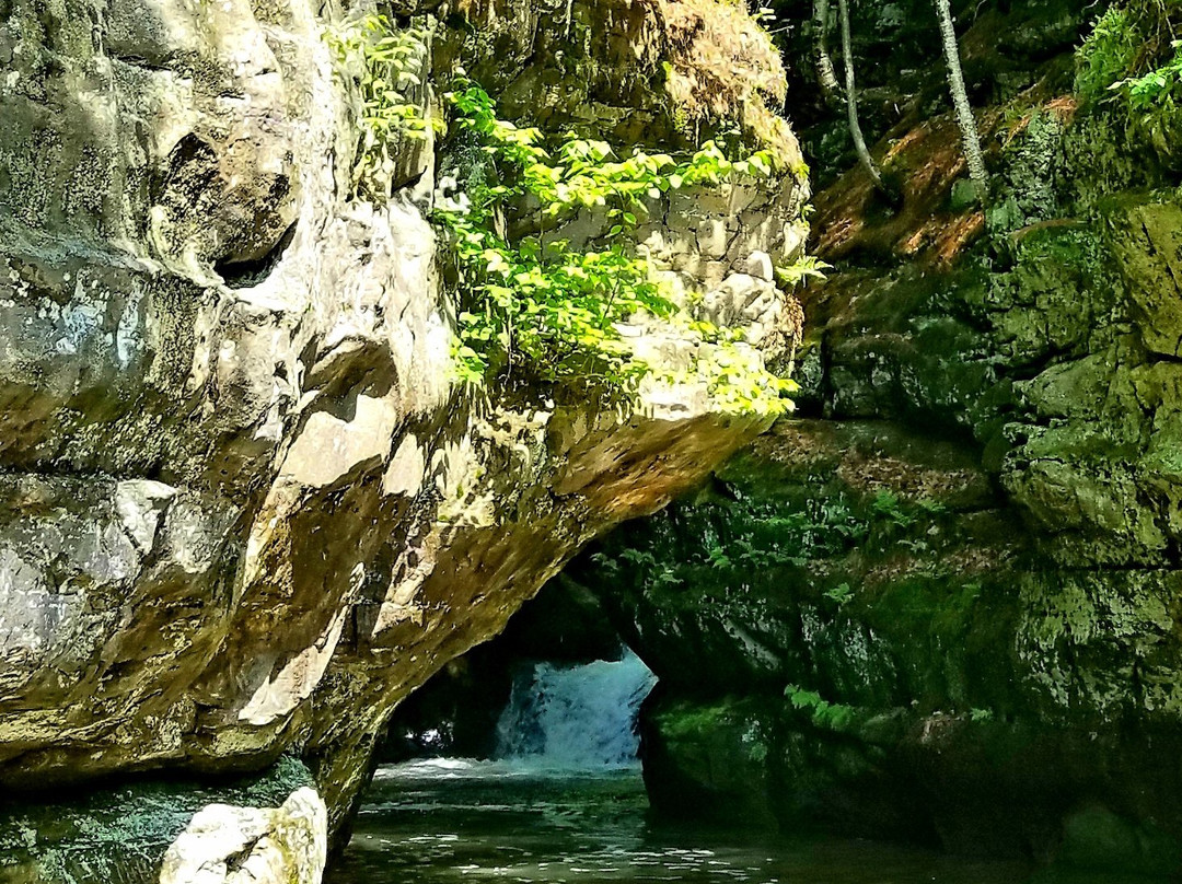Pewit's Nest Gorge-巴拉布必去景点