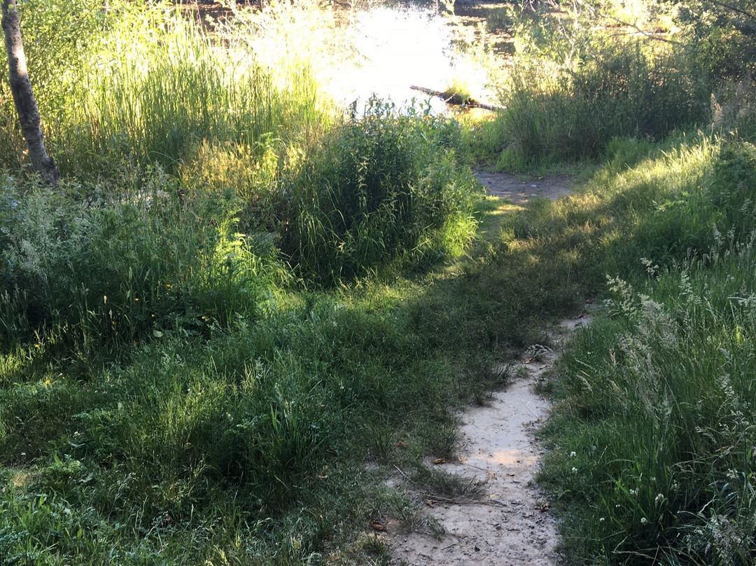 Narbeck Wetland Sanctuary Park景点图片