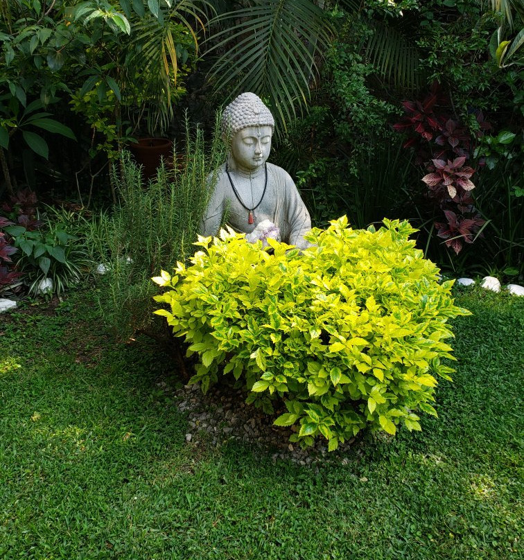 Hotel Teocalli主图