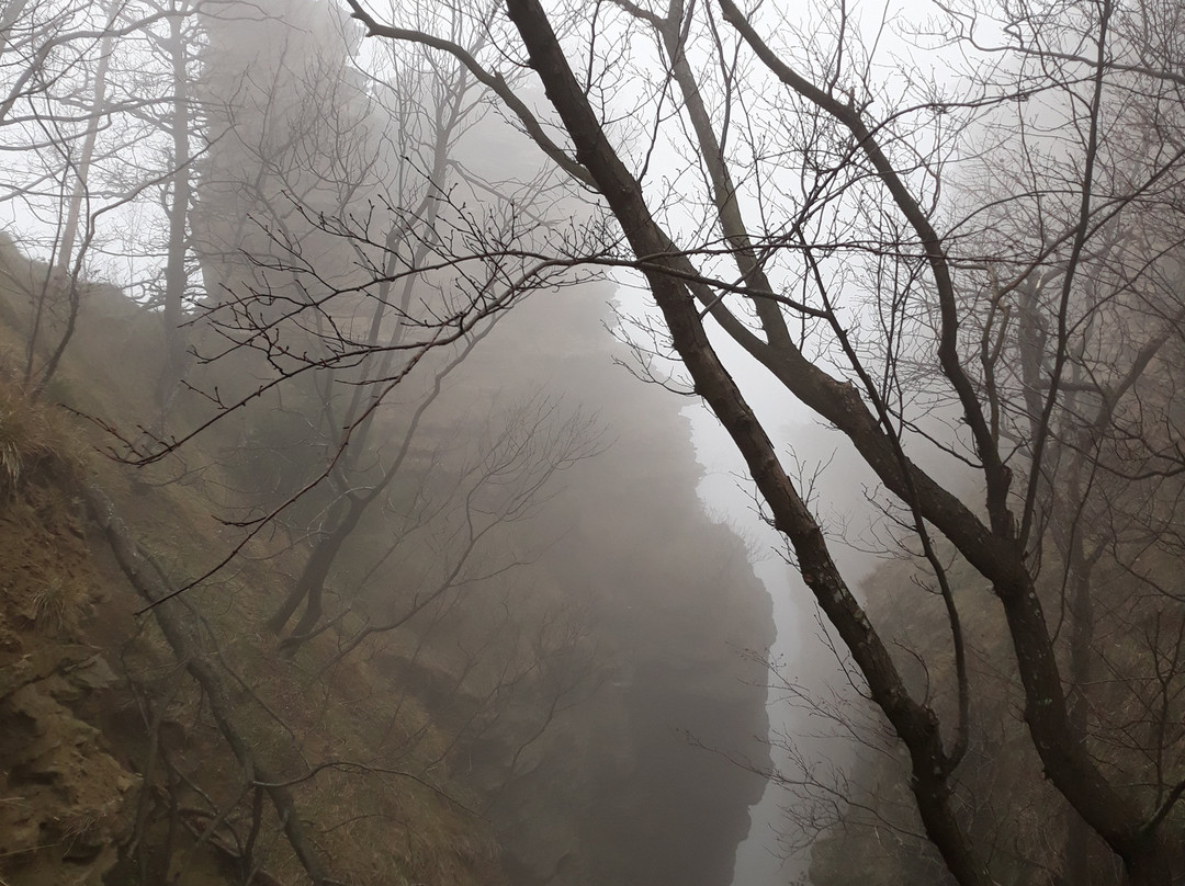 Monte Adone景点图片