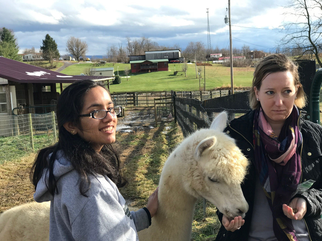 Dreamland Alpacas LLC-Meadowview必去景点