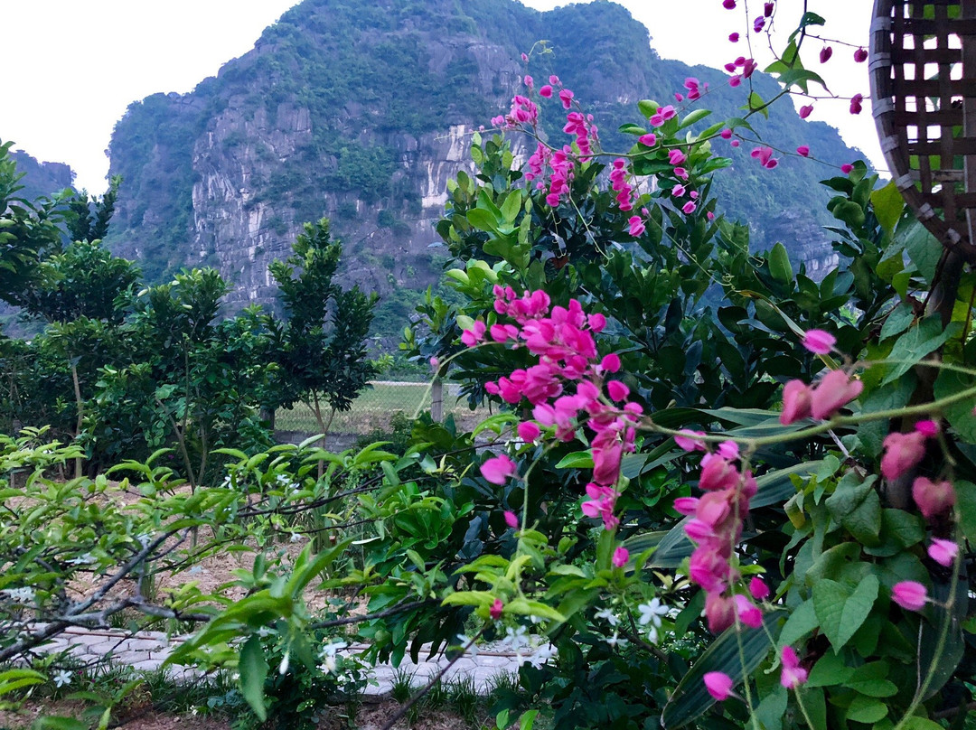 Yen Binh Homestay主图