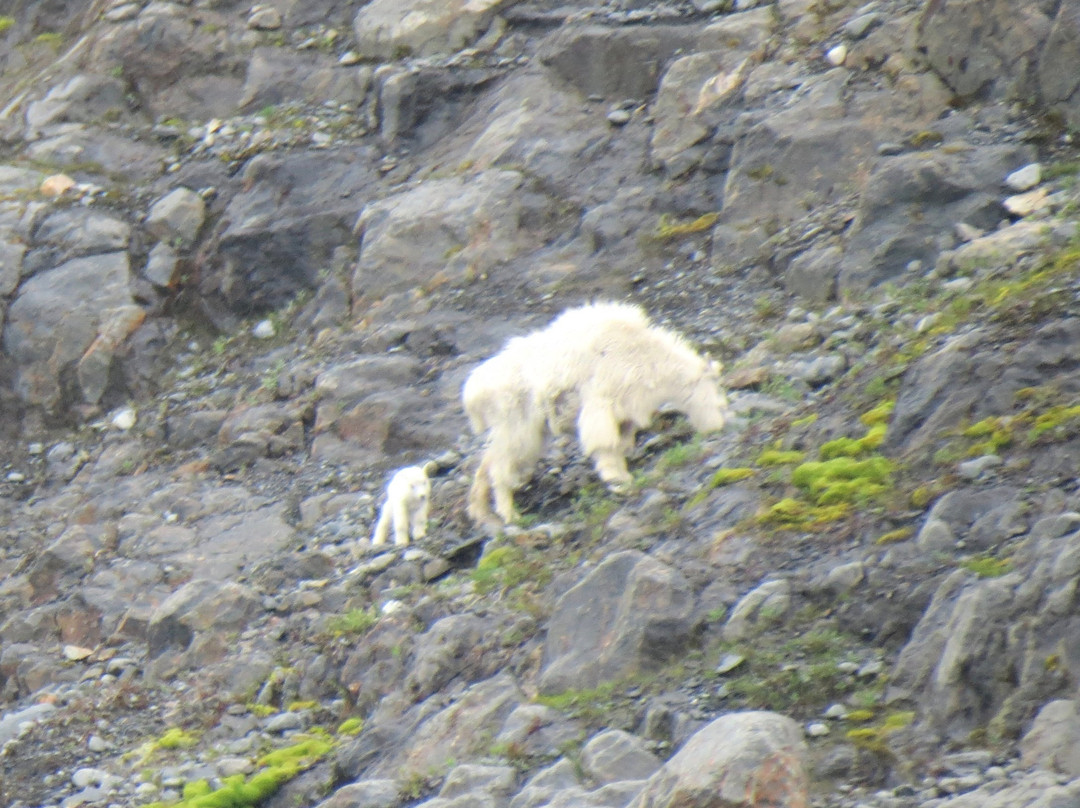 哥伦比亚冰川-瓦尔迪兹必去景点