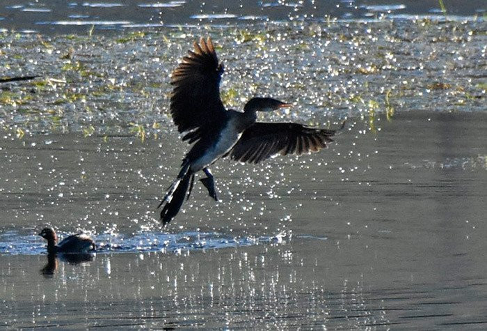 Springfontein River Lodge主图