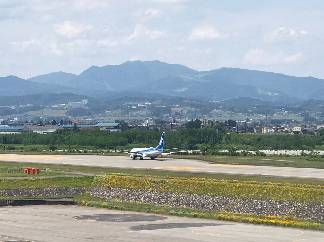 Toyama Airport Lookout Deck景点图片