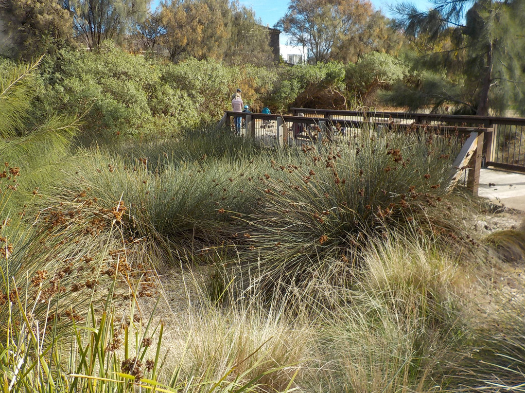 Mallanbool Reserve景点图片