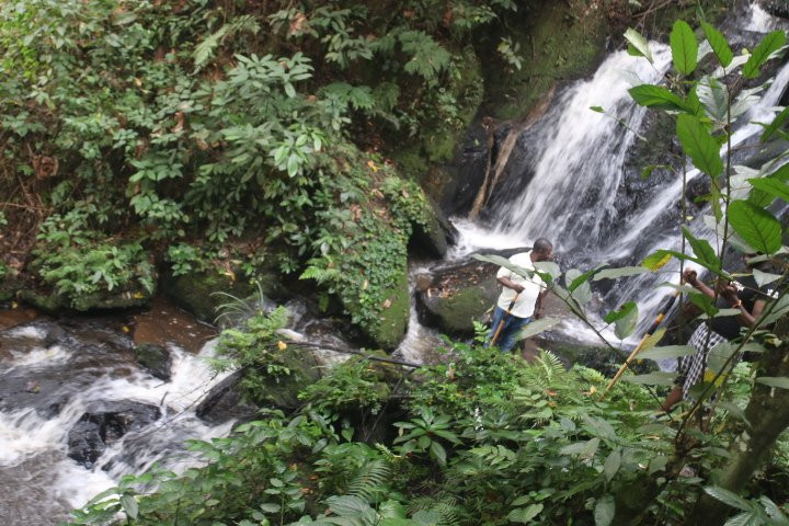 The Crested Crane Bwindi Hotel主图
