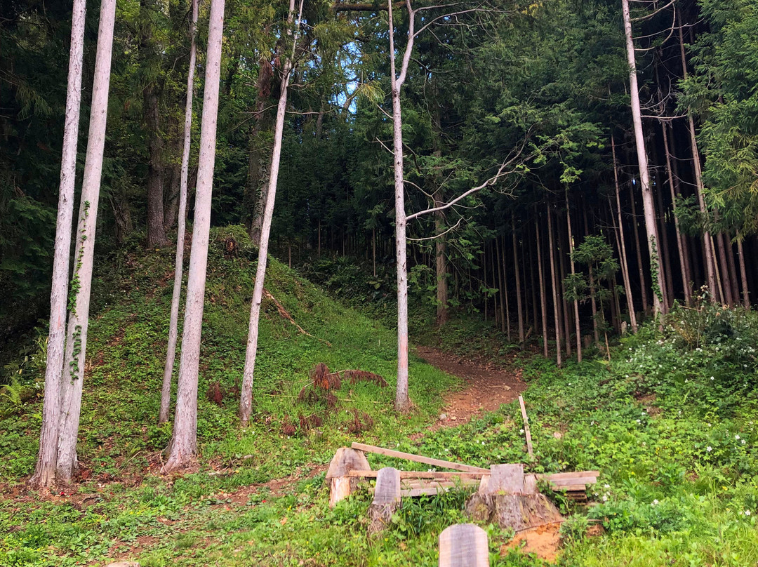 The Site of Uda Matsuyama Castle景点图片