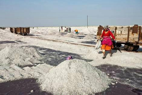 Sambhar Salt Lake景点图片