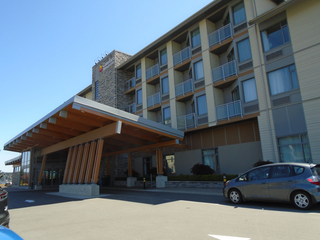 Comfort Inn & Suites主图