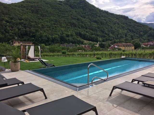 Boutiquehotel WEINSPITZ Wachau - ADULTS ONLY-泳池