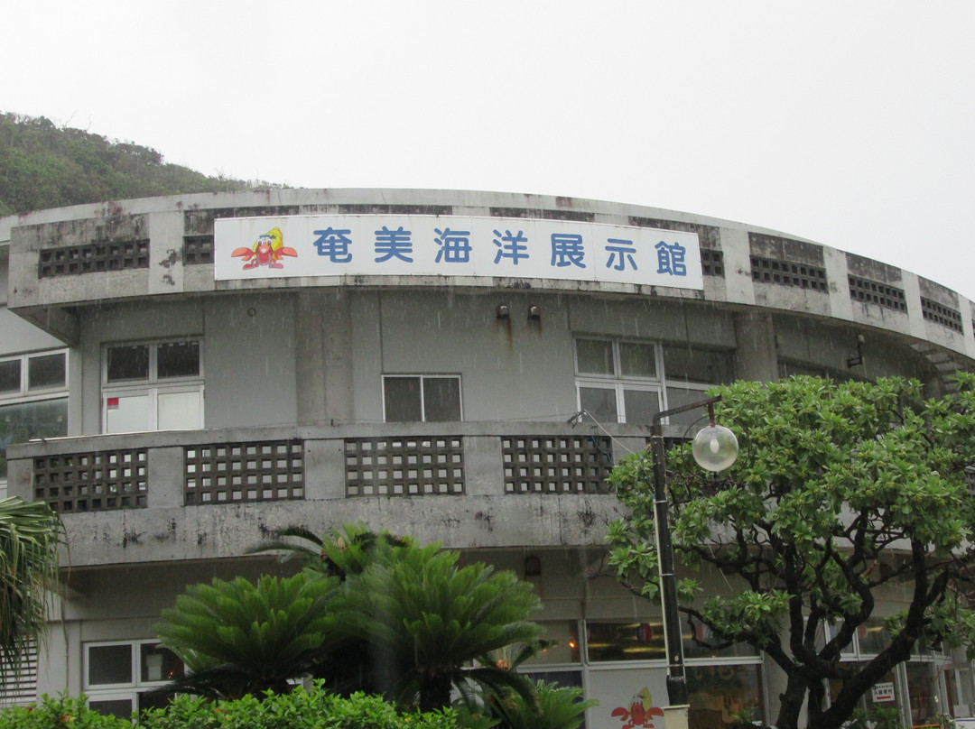 Amami Marine Exhibition Hall景点图片