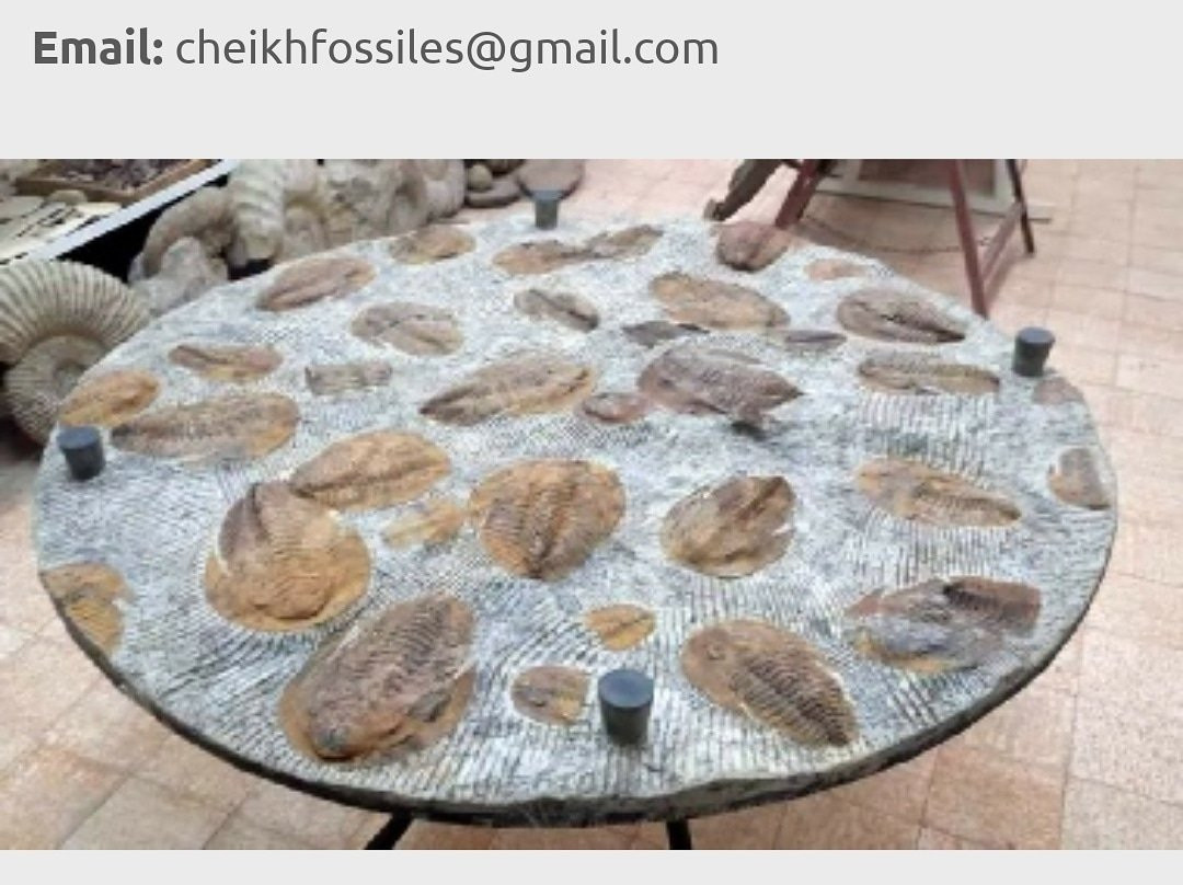 Fossiles d'Erfoud景点图片