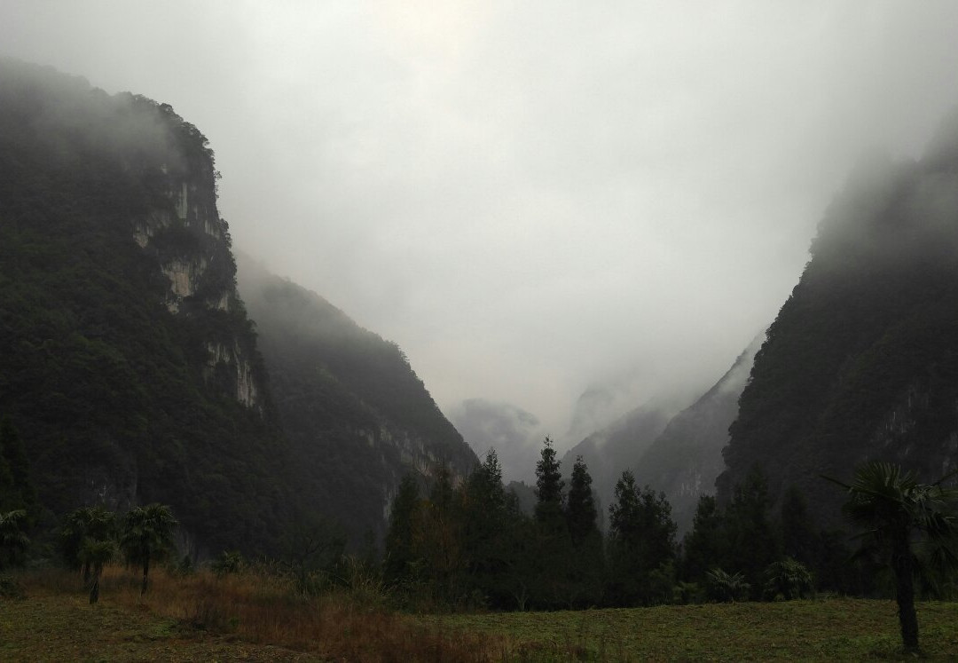 重庆武陵山森林公园景点图片