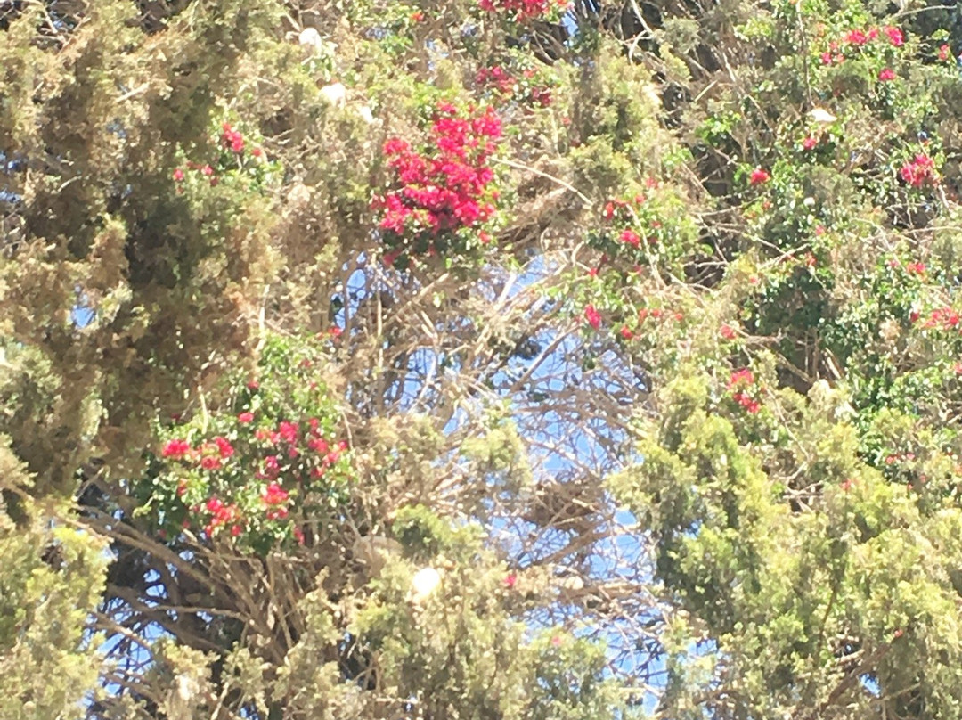 Parc lalla aicha-乌季达必去景点