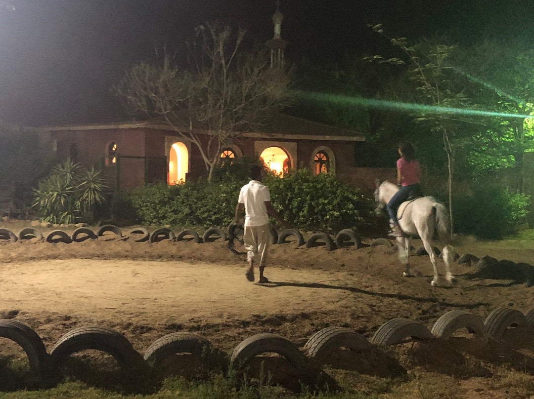 Stallion Equestrian Center-开罗必去景点