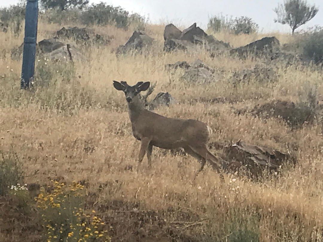 Sacred Mountain River Suites主图