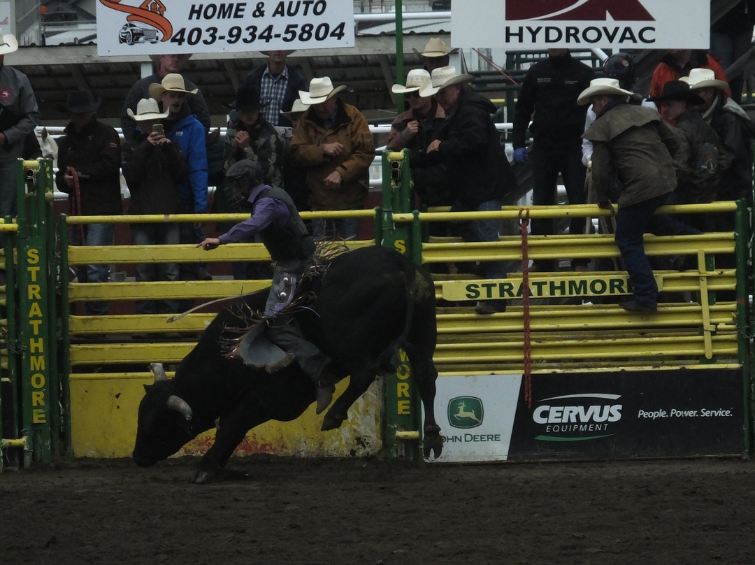 Strathmore Stampede-Strathmore必去景点
