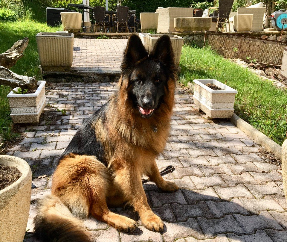 La Foux酒店住宿-Hotel Du Lachens