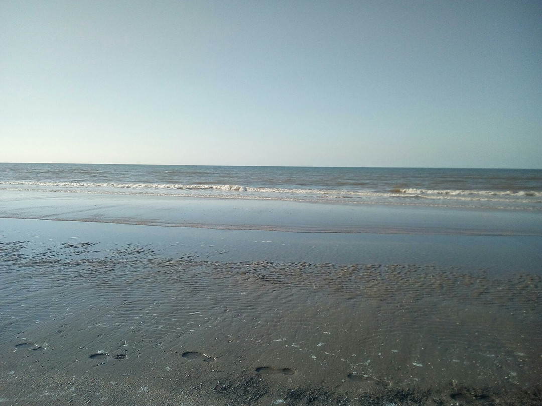 TTO Noordzee vzw.