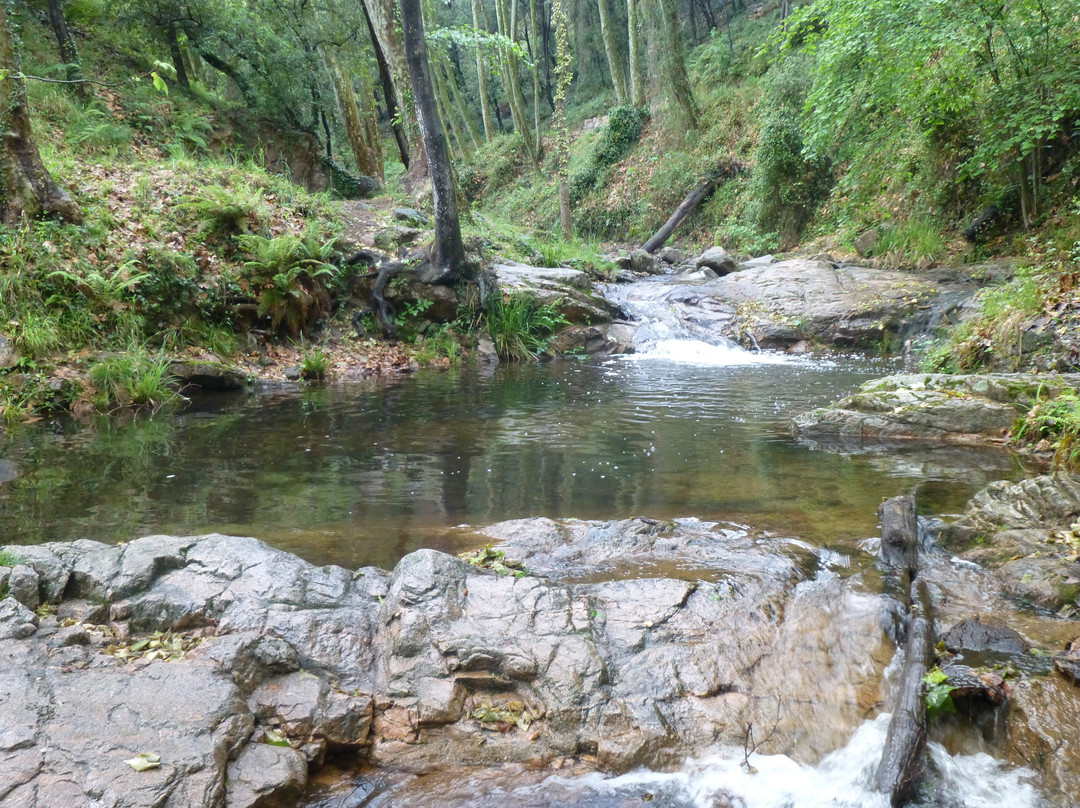 Parque Mediombiental de Gualba