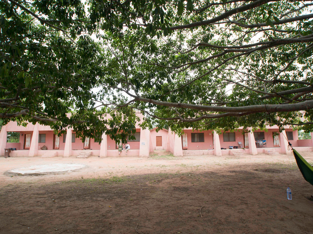 Wechiau Community Hippo Sanctuary-Wa必去景点