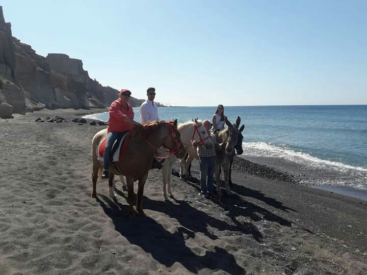 Manos Travel Santorini-费拉必去景点