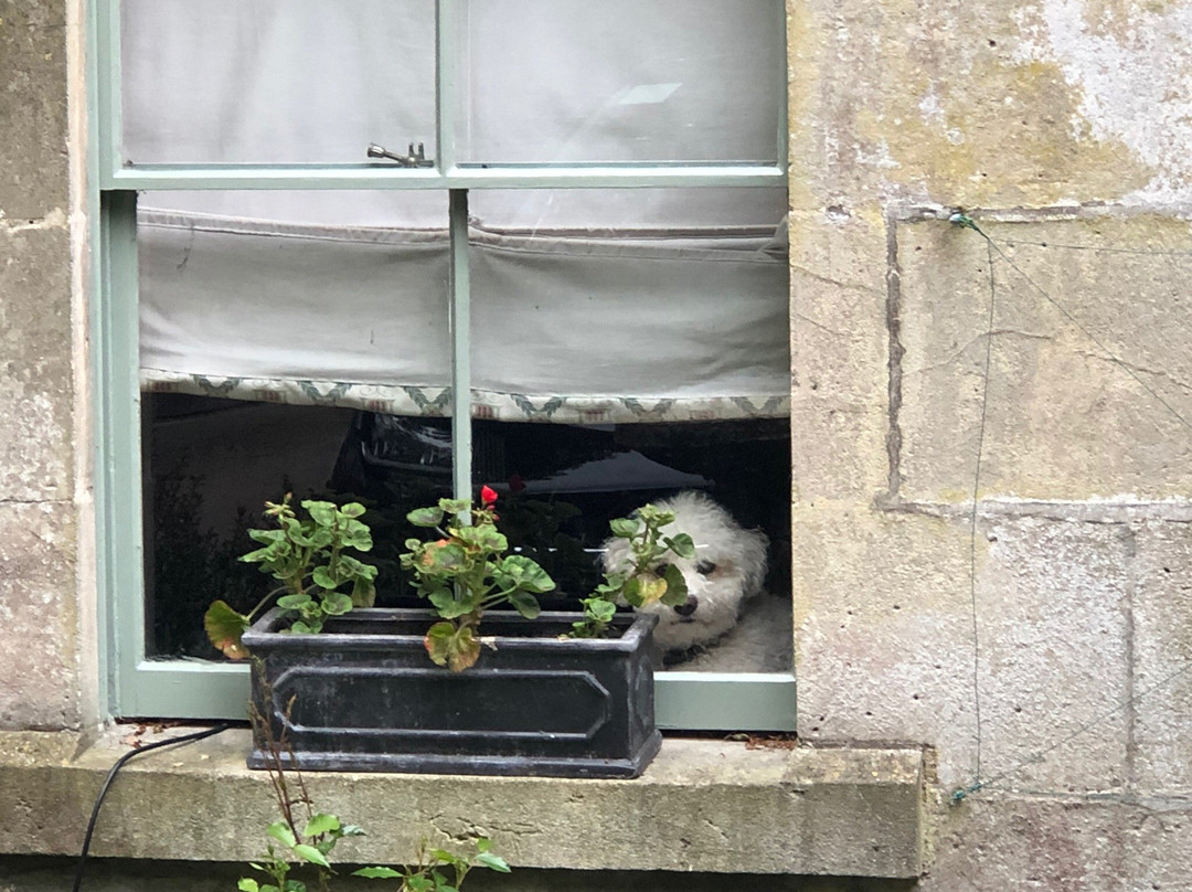 山毛榉小屋住宿加早餐旅馆主图