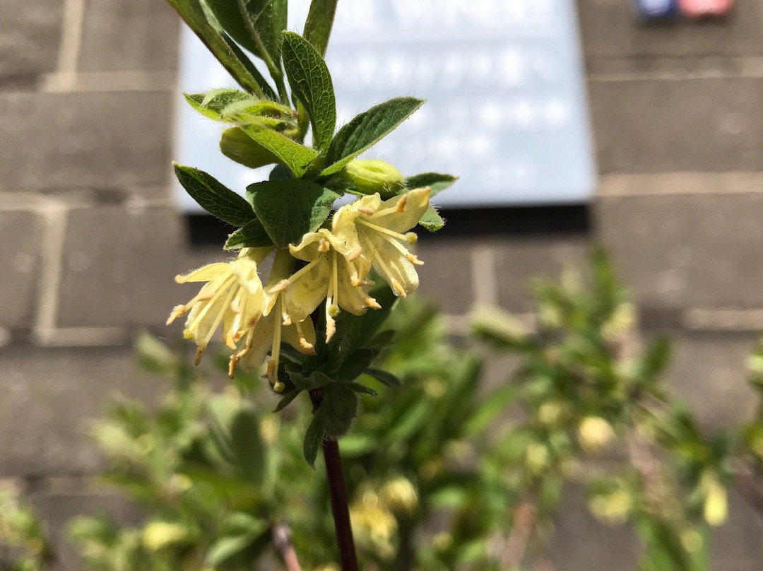 Grace Wine Chitose Winery-千岁市必去景点