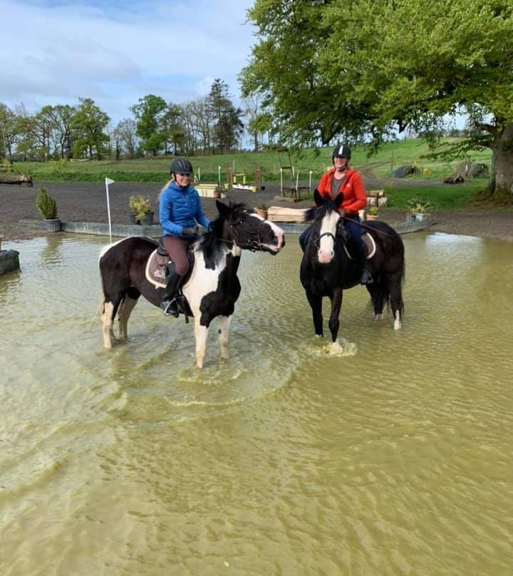Ross House Equestrian Holidays主图