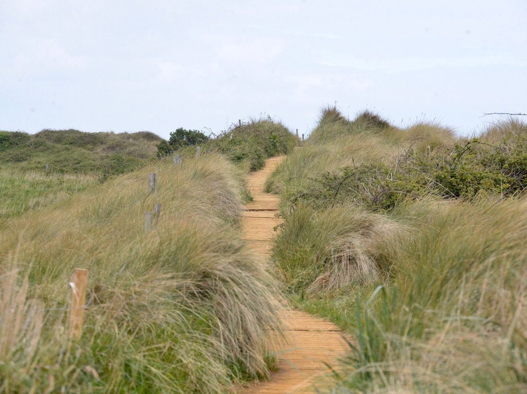 Holme Dunes National Nature Reserve景点图片