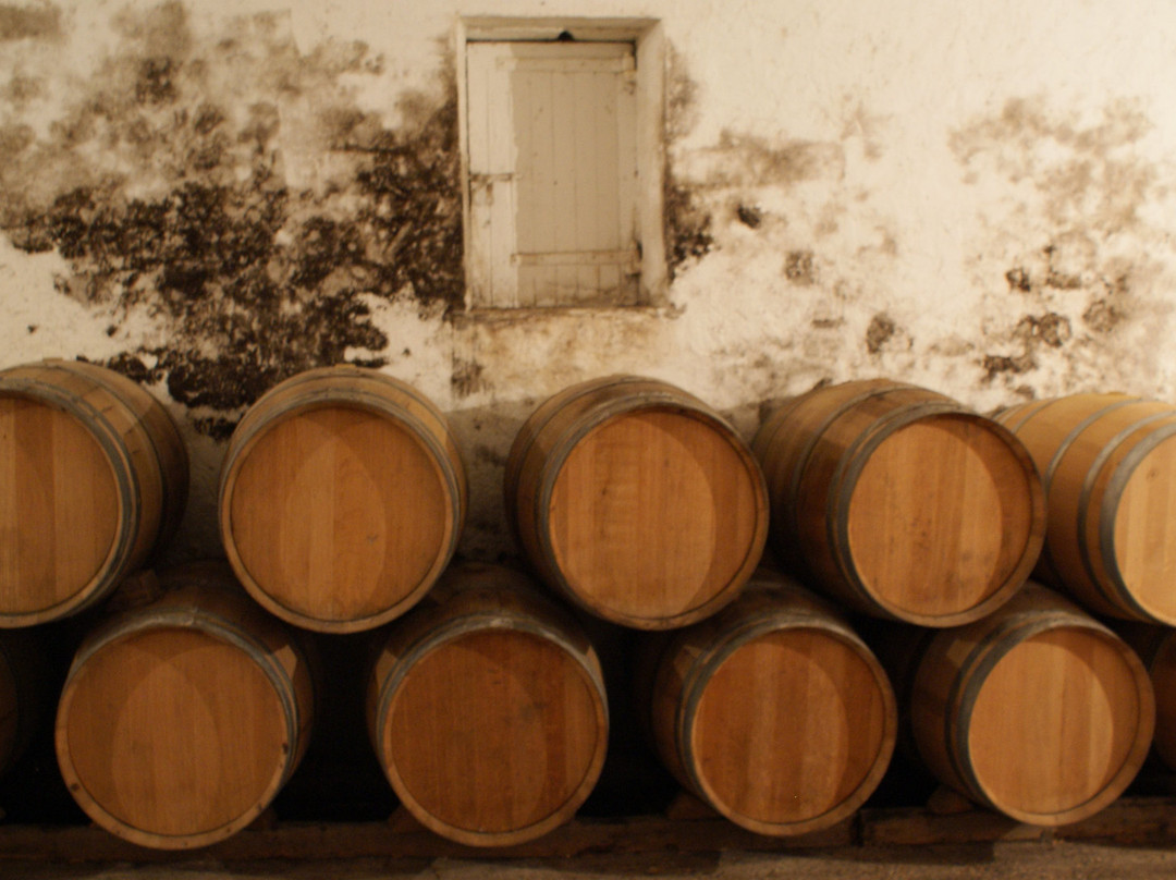 Chateau la Rame-Sainte-Croix-Du-Mont必去景点