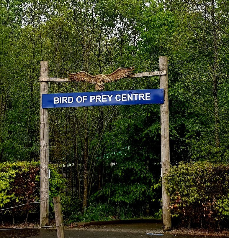 Loch Lomond Bird of Prey Centre景点图片