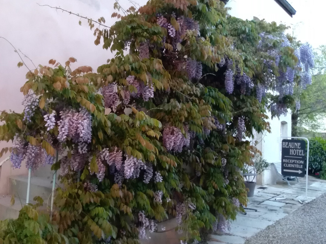 Beaune Hôtel主图