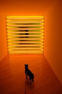 The Dan Flavin Art Institute-Bridgehampton必去景点