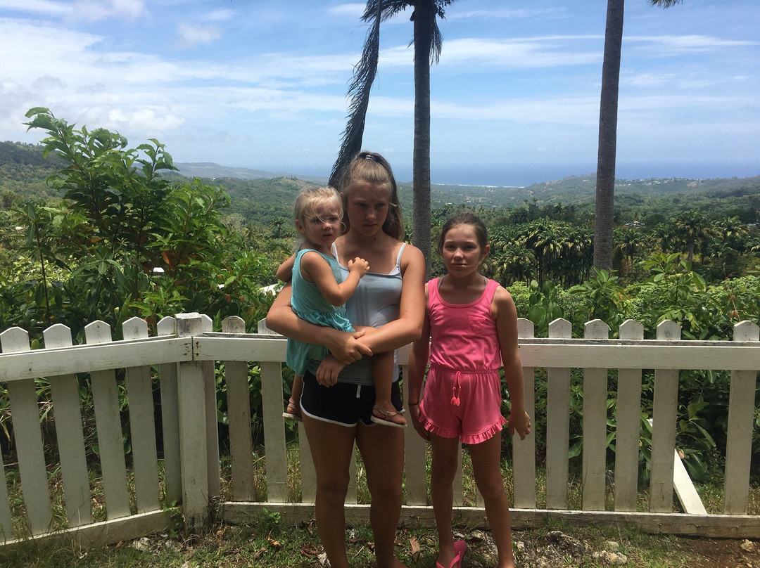 Rossomar Rentals主图