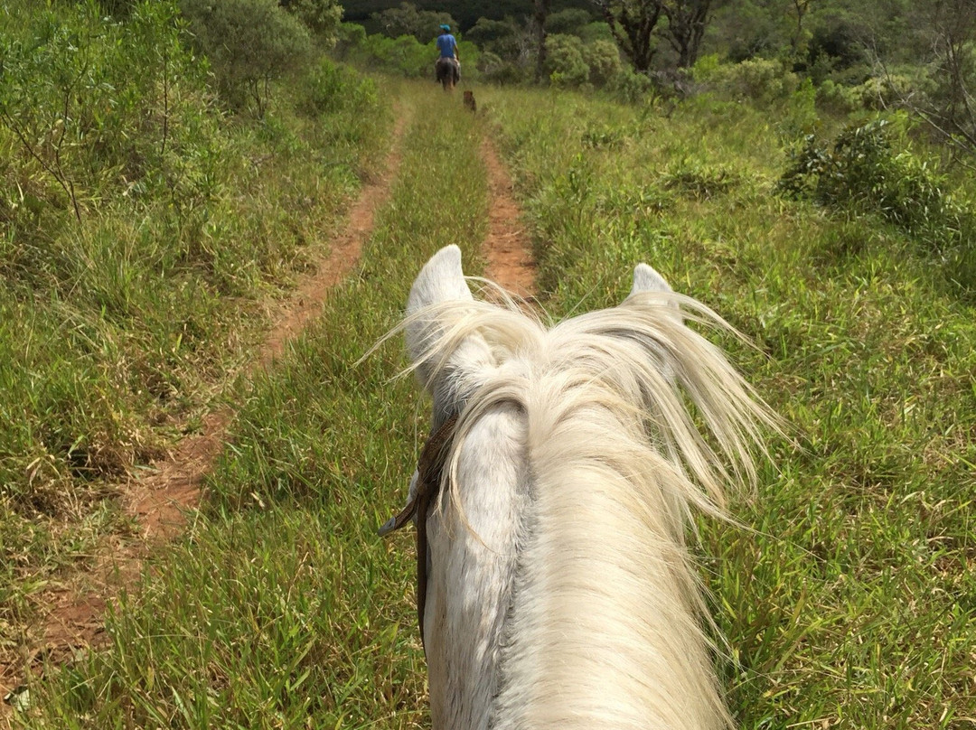 Michael Blendinger Nature Tours
