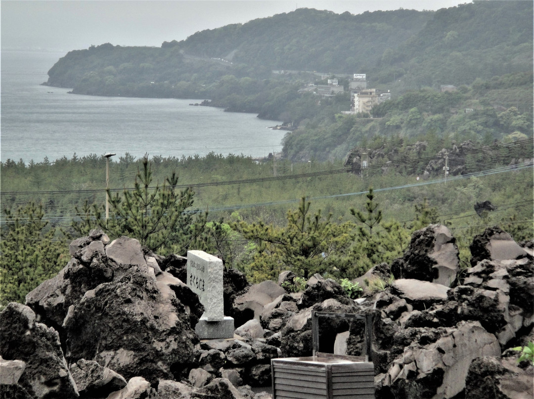 Sakurajima Island View景点图片