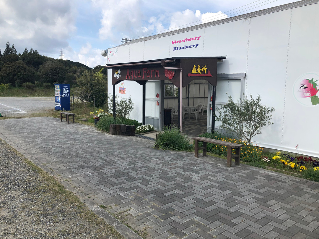 Futtsu Aqua Farm-富津市必去景点