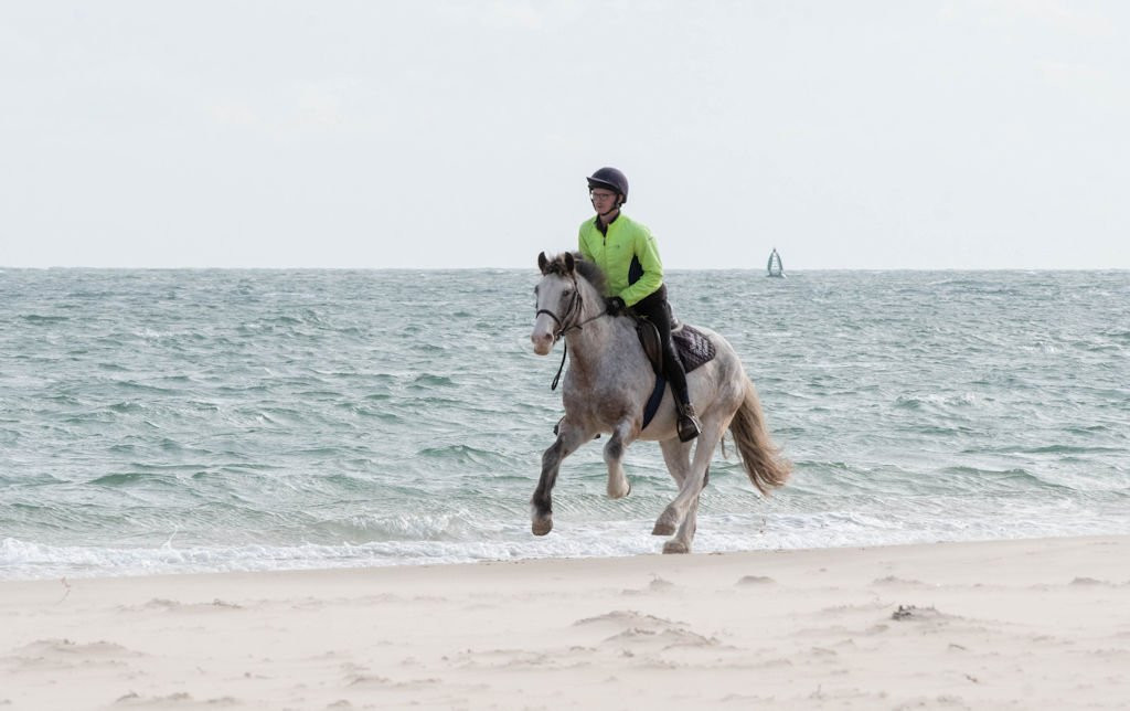 Studland Trekking Centre景点图片