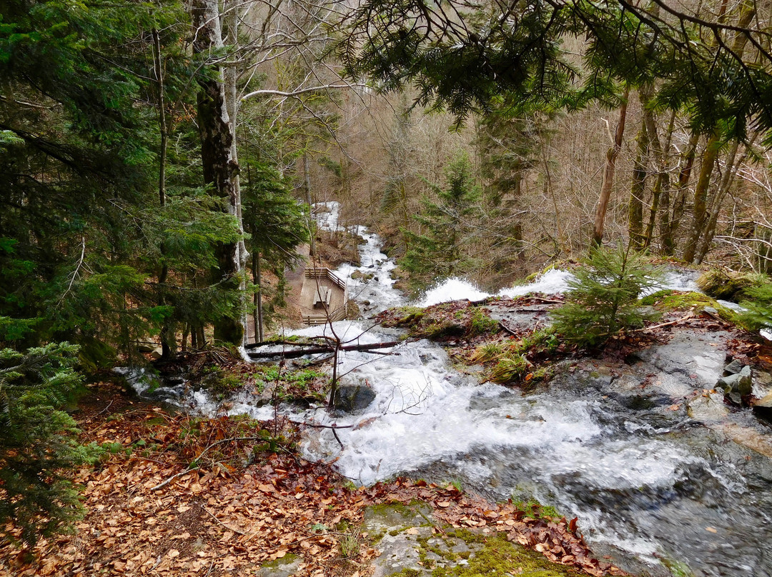 Cascade du Hohwald-Le Hohwald必去景点