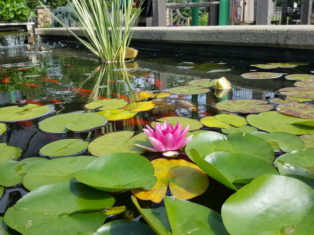 Cedar Valley Arboretum & Botanic Gardens-Waterloo必去景点