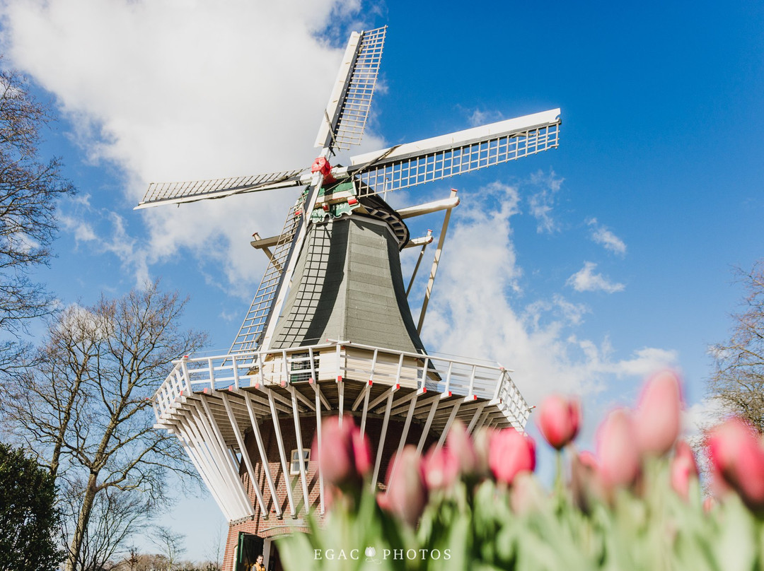 Rota Amsterdam - Guia Brasileiro Em Amsterdam-阿姆斯特丹必去景点