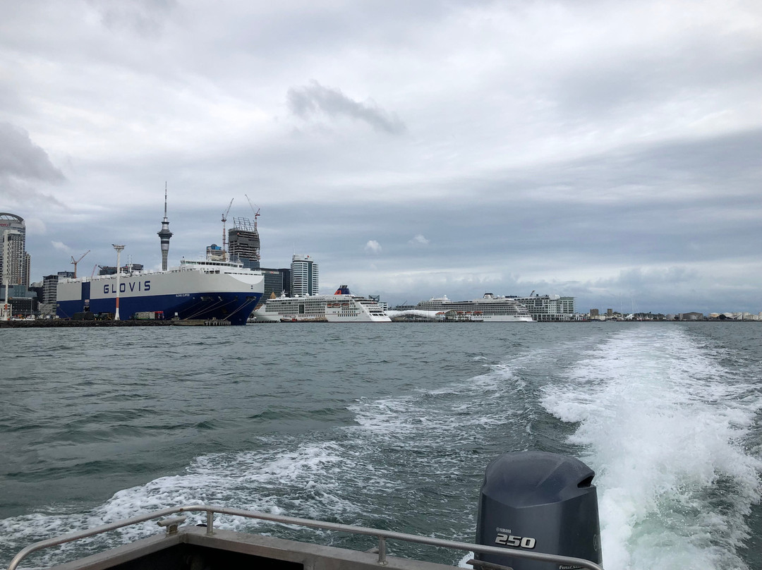 Auckland Sea Shuttles景点图片