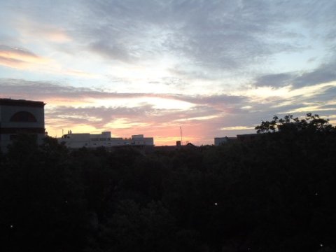 雷诺广场普兰特斯酒店-酒店景观