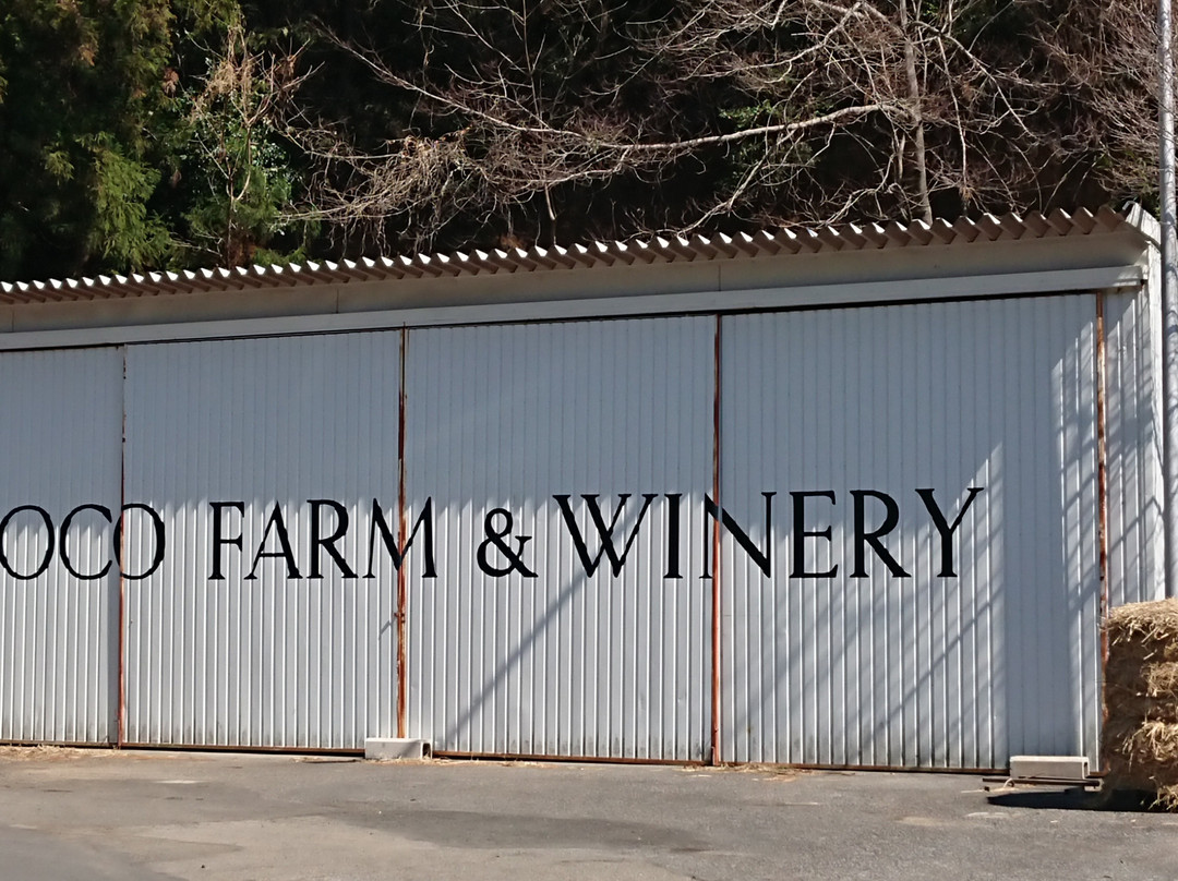 COCO FARM & WINERY景点图片