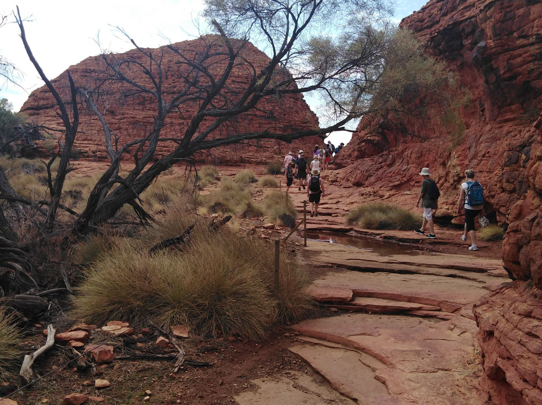 Watarrka National Park景点图片