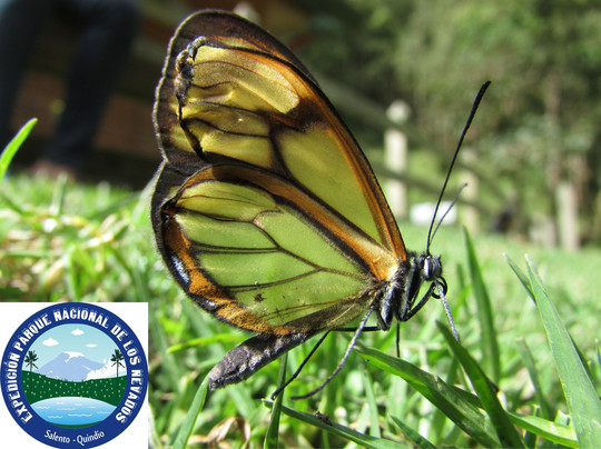 Cocora Travel-萨伦托必去景点