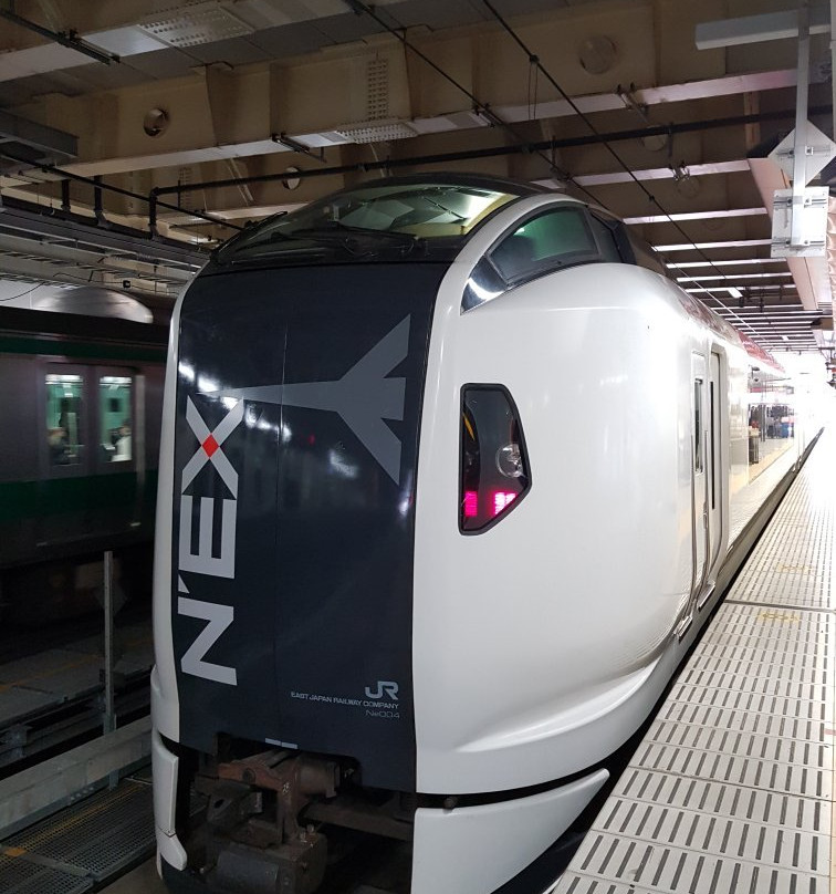 Narita Express (NEX)景点图片