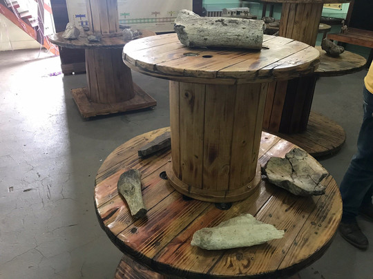 Museu De Paleontologia Pedro Candolo-Uchoa必去景点